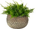 18056A97-1.png